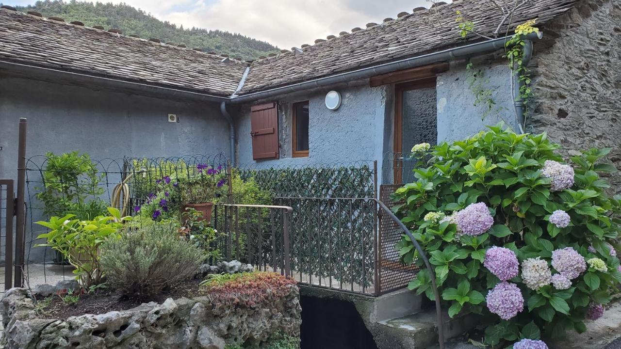 Gîte de Combelebouze en Cévennes - Cosy et Confort - 3 étoiles Saint-Privat-de-Vallongue Exterior foto