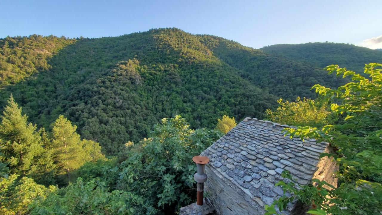 Gîte de Combelebouze en Cévennes - Cosy et Confort - 3 étoiles Saint-Privat-de-Vallongue Exterior foto